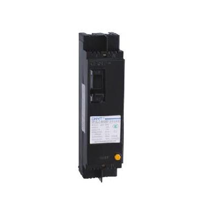塑料外壳式漏电断路器 DZ15LE-40