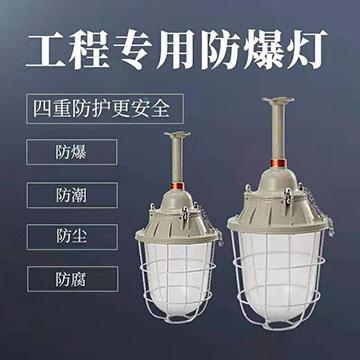 一木立家防爆灯B3C 400型灯罩+100w灯泡 1套