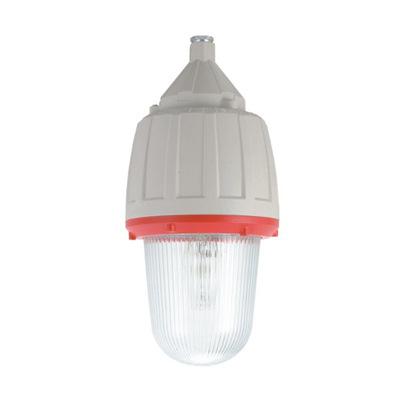 防爆灯 CCd92-L175