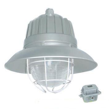 华荣 隔爆型防爆灯，含金卤灯光源70W，GCD5011-L70