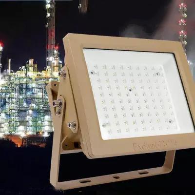 防爆泛光灯 FB0101 30W 6500K白光 220V IP65