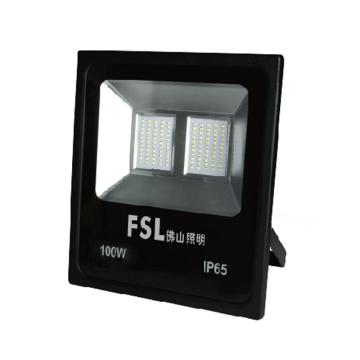 泛光灯 超炫二代系列 220V 70W 白光