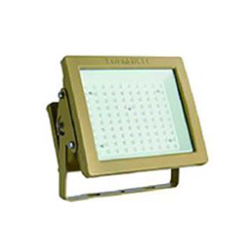 LED防爆泛光灯 FB0101 120W 6500K白光 220V IP65