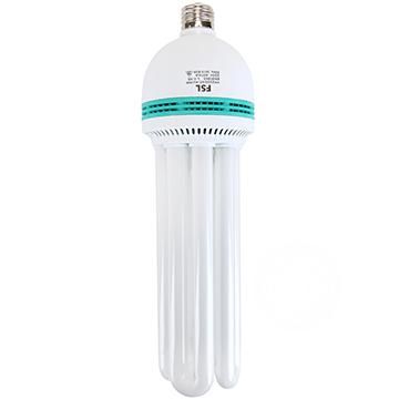 佛山 T5节能灯YPZ 220V 85W-4U 1只