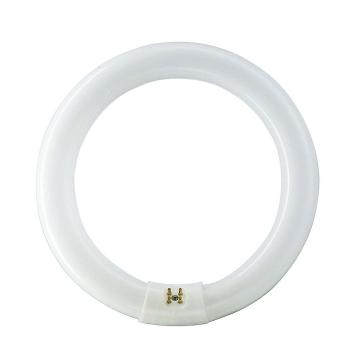 环形灯管 TLE 32W/54 765 白光整箱