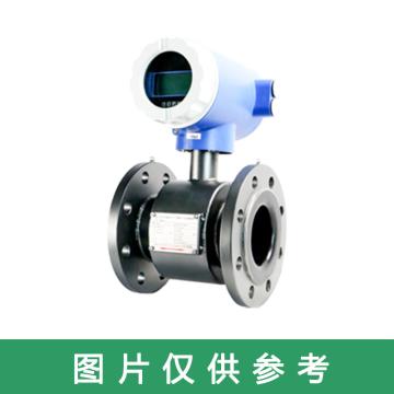 罗德玮格 电磁流量计，FE10/DN40