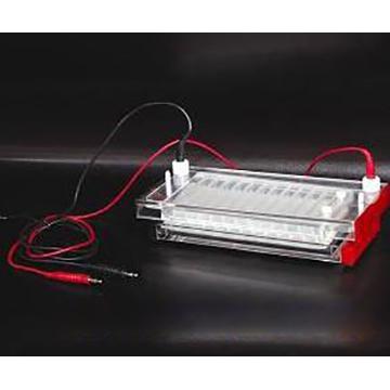 快速凝胶电泳槽DYCP-44N