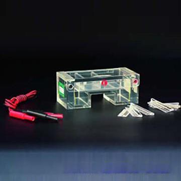 琼脂糖水平电泳槽DYCP-31DN