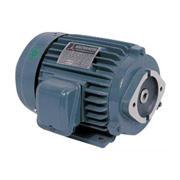 油泵电动机 10HP